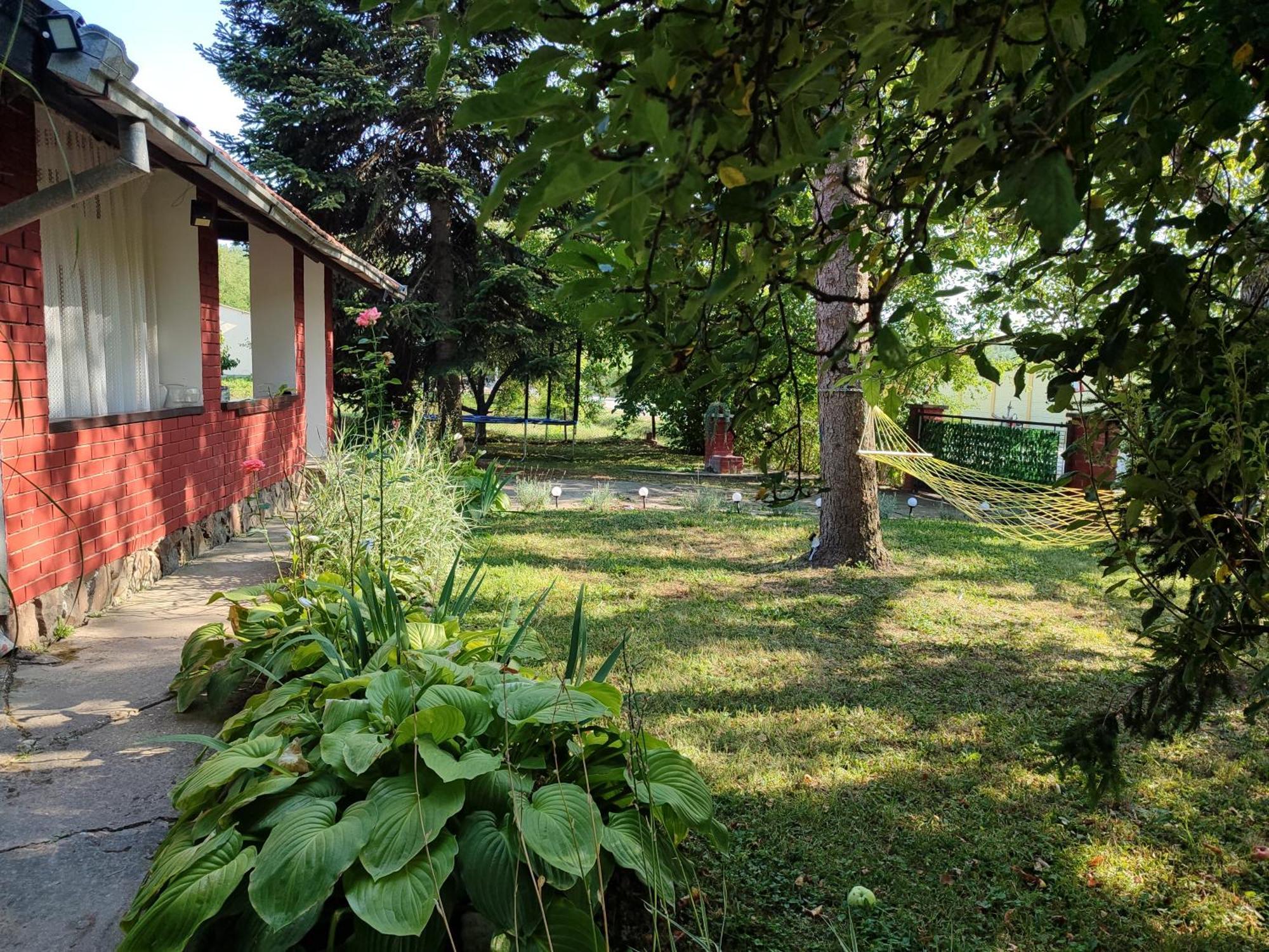 Sorg House Forest & Lake Villa Besenyőmonostor Kültér fotó