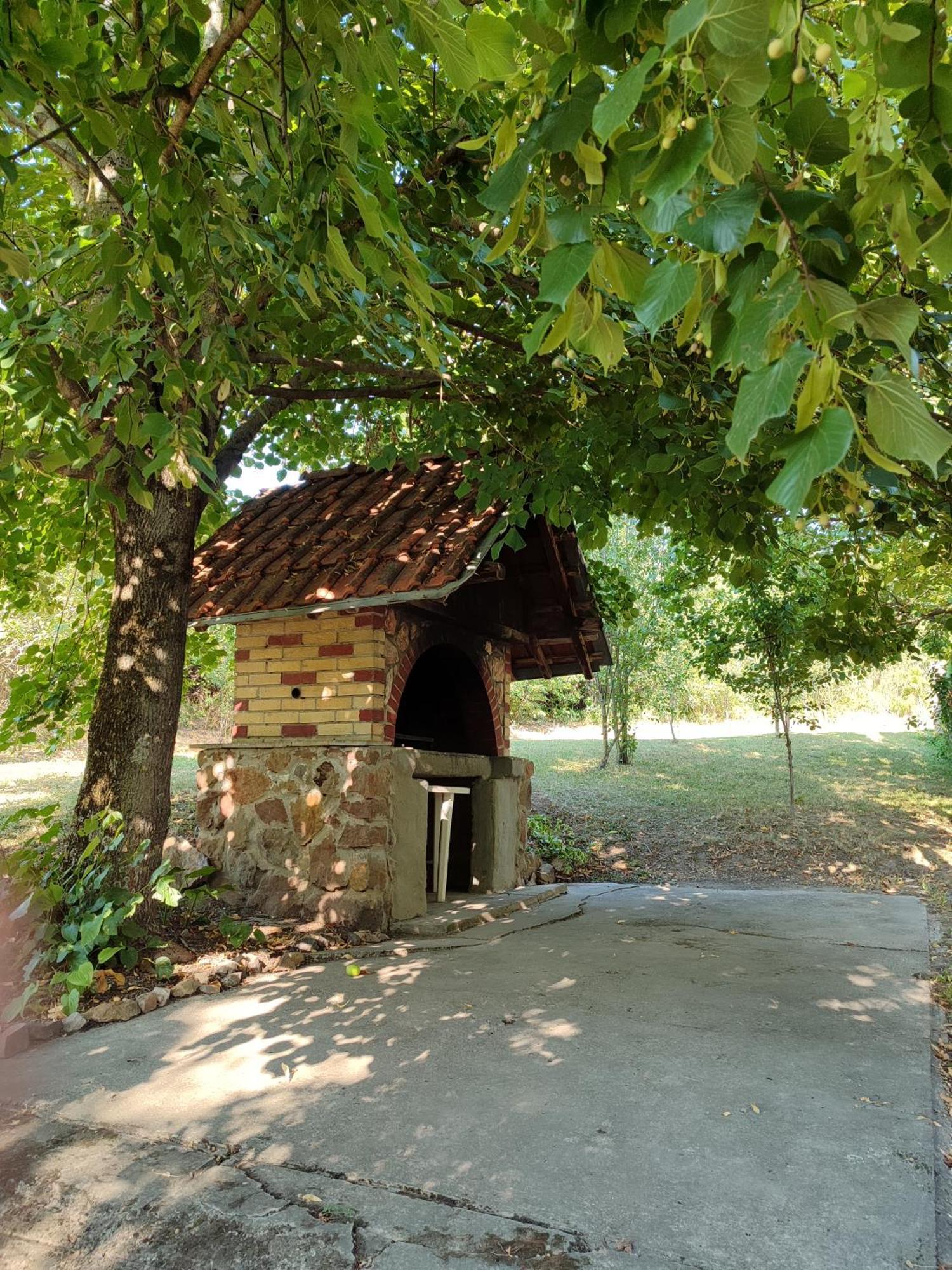 Sorg House Forest & Lake Villa Besenyőmonostor Kültér fotó